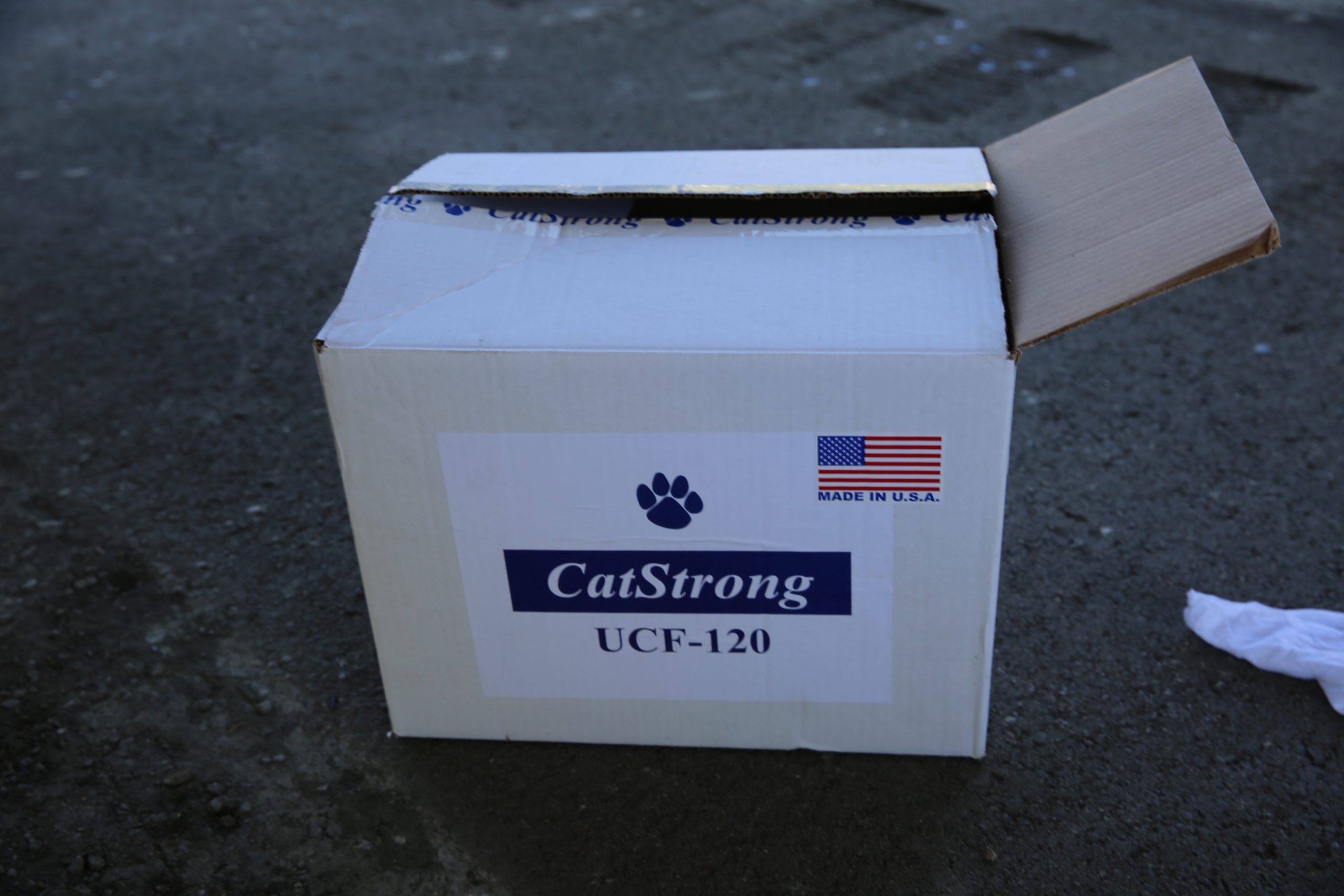 CatStrong UCF